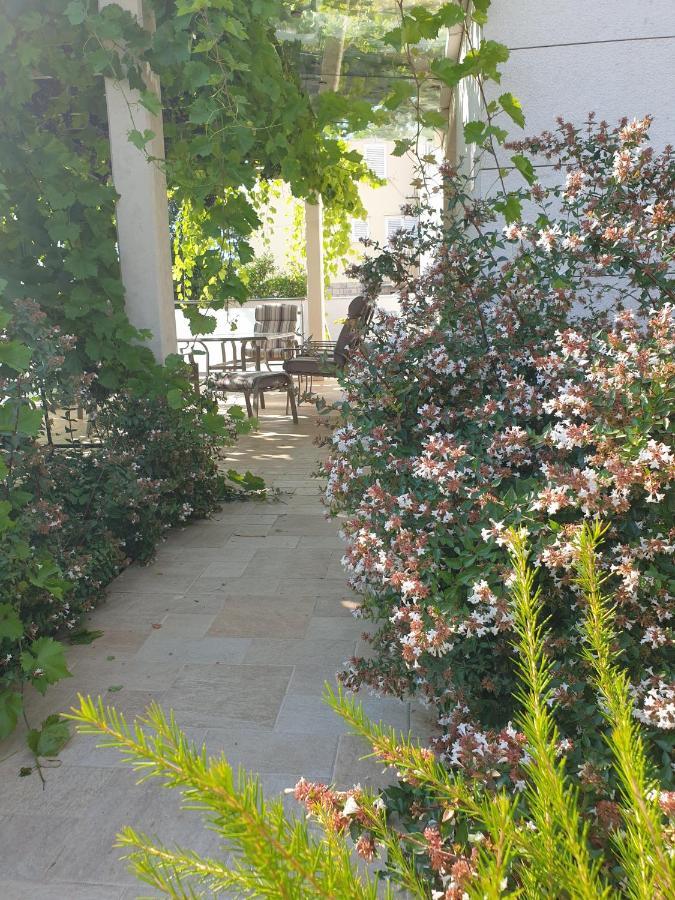 Abelia, Two Terraces, Hot Tub, Free Parking Apartman Dubrovnik Kültér fotó