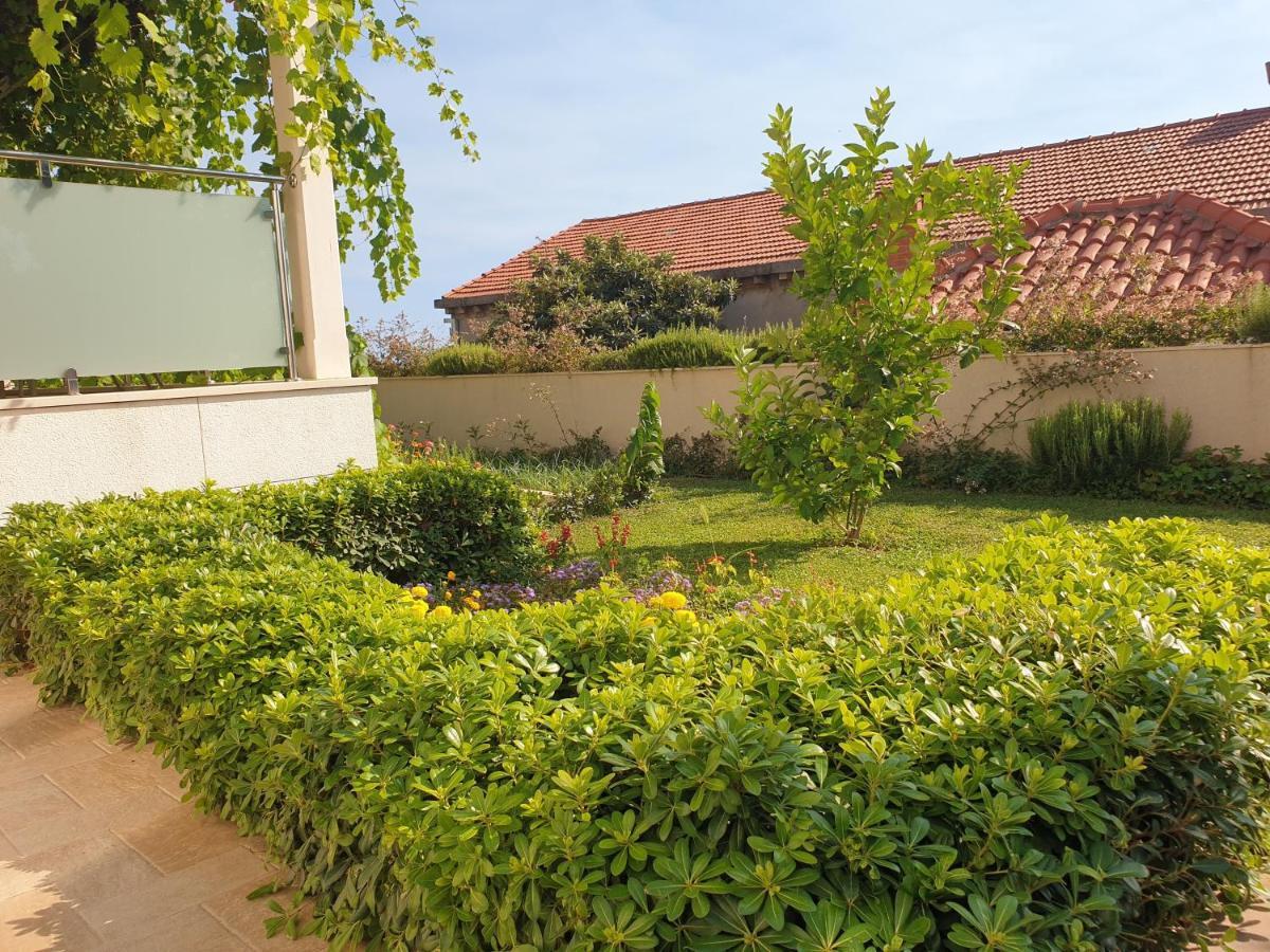 Abelia, Two Terraces, Hot Tub, Free Parking Apartman Dubrovnik Kültér fotó