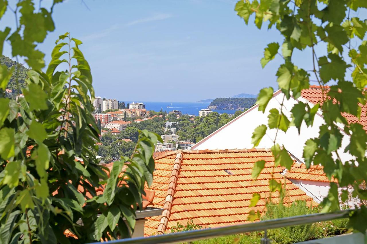 Abelia, Two Terraces, Hot Tub, Free Parking Apartman Dubrovnik Kültér fotó